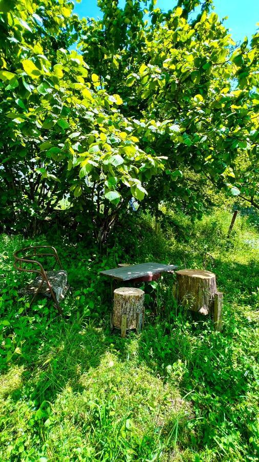 Mountain Top Getaway In Dilijan! Kültér fotó
